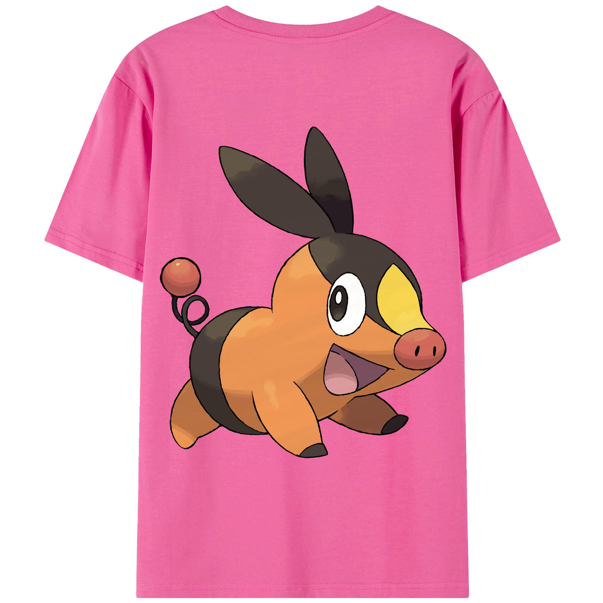 （画像用） ポケットモンスター Pokémon レディース半袖Tシャツ(バックプリント)